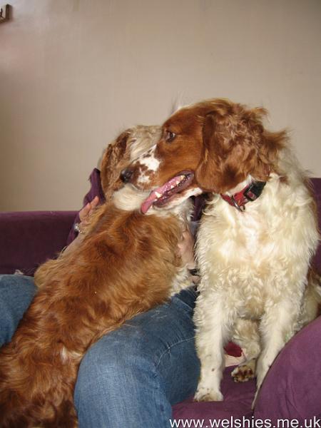 2011-07-23 04.JPG